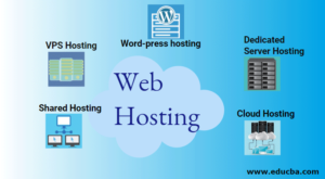 types of web hosting